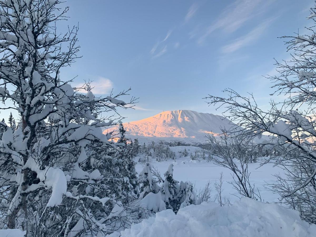 New Apartment, Gausta In Rjukan. Ski In/ Ski Out 외부 사진